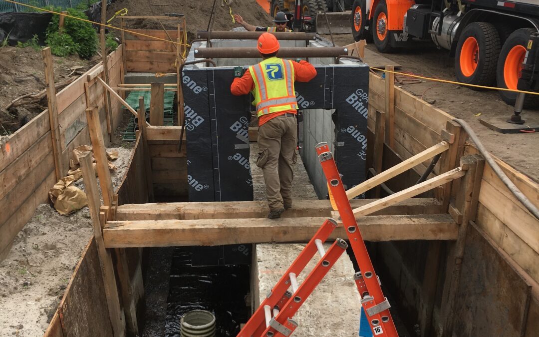 WCS NY Aquarium Restoration Project