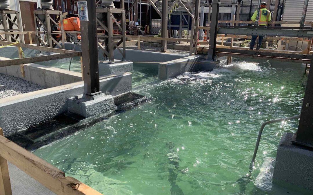 SPCC Upgrades – Spill Prevention, Control & Countermeasures