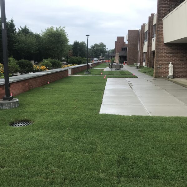 Completed Project Photo